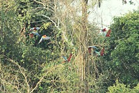 IMG_0261