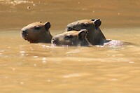 IMG_0328