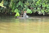 IMG_0399