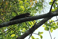 IMG_0440