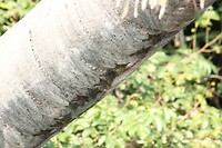 IMG_0467
