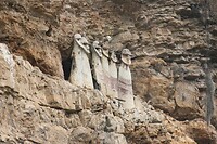 IMG_0579