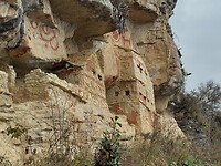 IMG_20241008_114139