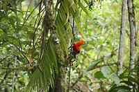 IMG_0610