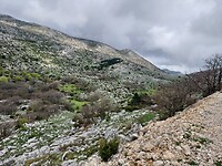 20250425_142015