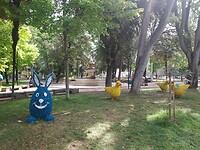 20250426_111647