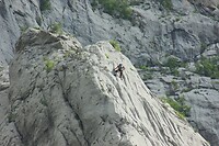 IMG_0730