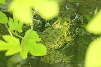 IMG_0777