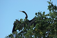 IMG_1095