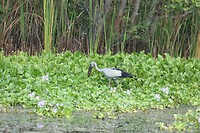 IMG_1110