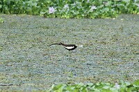 IMG_1125