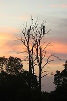 IMG_1180