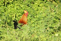 IMG_1211