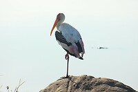IMG_1224