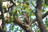 IMG_1229