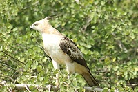 IMG_1268