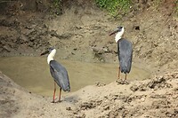 IMG_1273