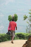 IMG_1410