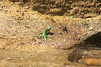 IMG_1430
