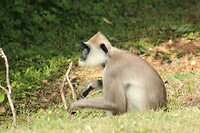 IMG_1477