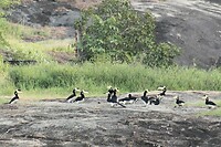 IMG_1447