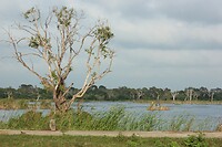 IMG_1569