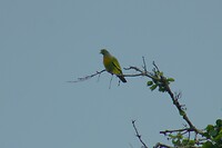 IMG_1593