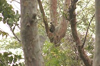 IMG_1598