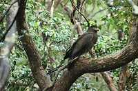 IMG_1625