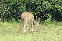 IMG_1633