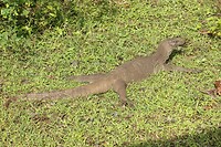 IMG_1649