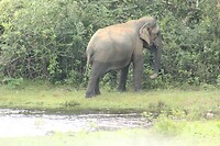 IMG_1702