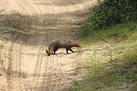 IMG_1713