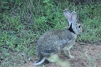 IMG_1752
