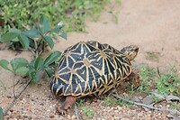IMG_1754