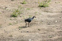 IMG_1764