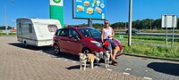 Plaspauze hondjes