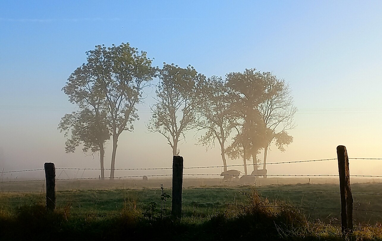 20240903_074058