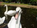 DSC07872