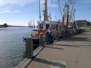 haven
