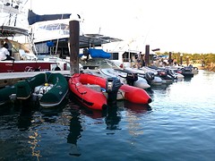 dingydock Malolo