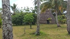 Tribal hut