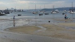 Rose Bay