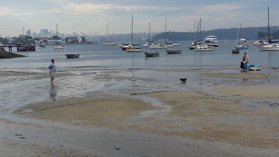 Rose Bay