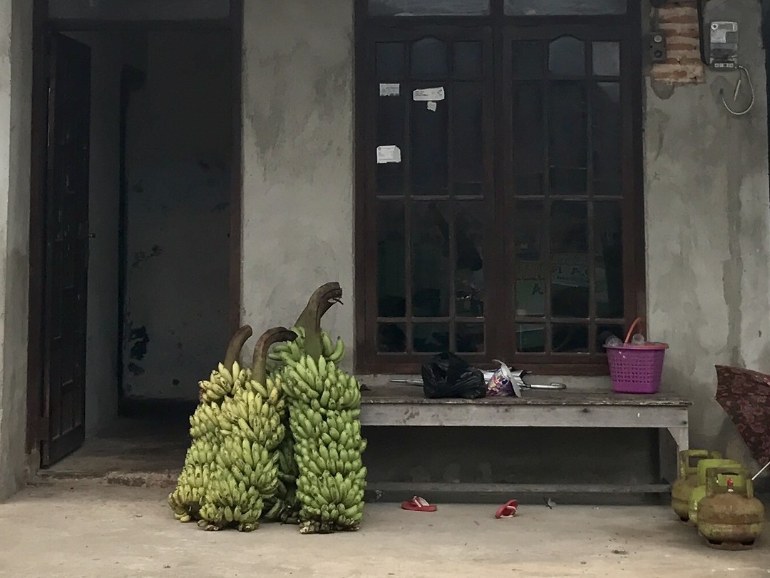 Bananen