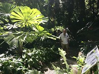 Tropische Spice Garden