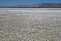 DSC00499