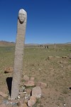 DSC00502