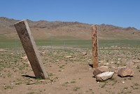 DSC00503