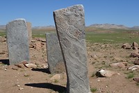 DSC00504